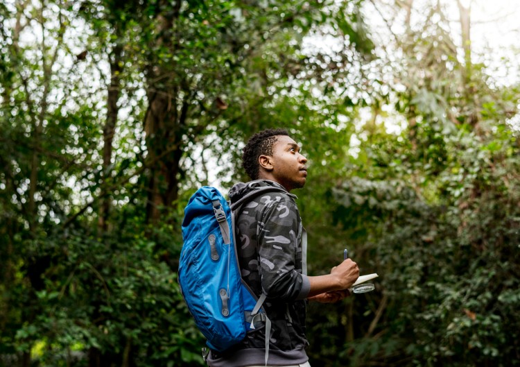 A conservation scientist in the field monitors forest growth.